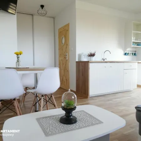 Karkonoska Apartament